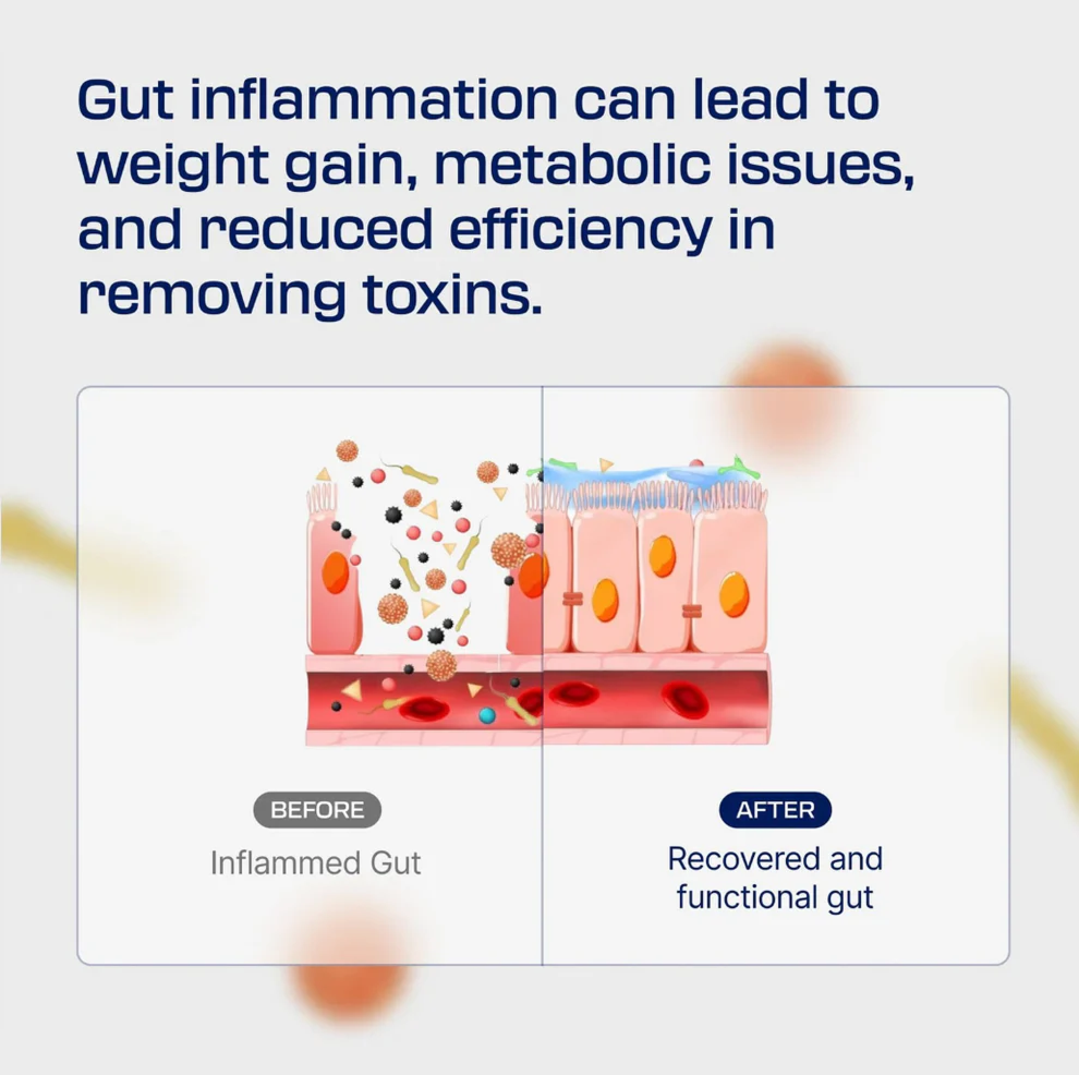 Havira Body - Protection Compound (BPC-157)™