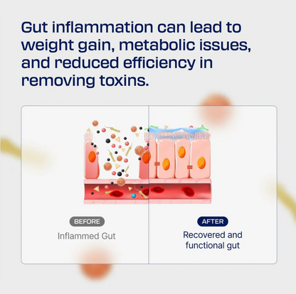 Havira Body - Protection Compound (BPC-157)™